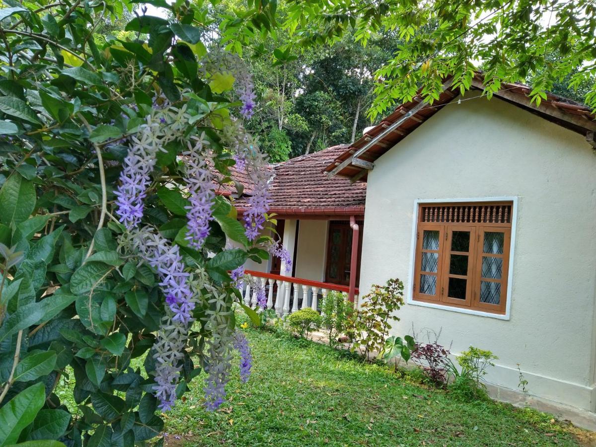 The Pepper Cottage Gomagoda Exterior photo